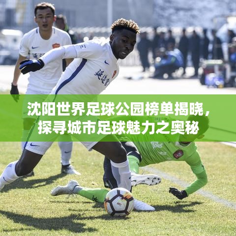 2025年6月 第2页